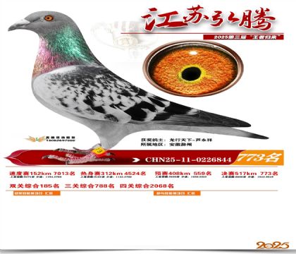 江苏弘腾决赛773名