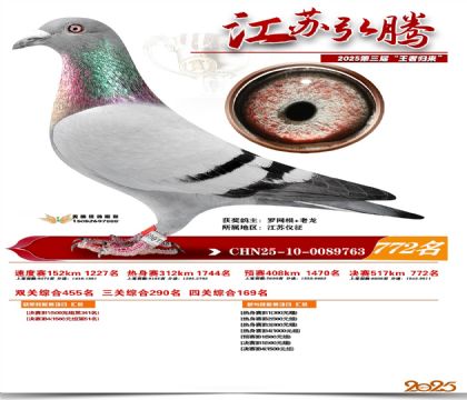 江苏弘腾决赛772名