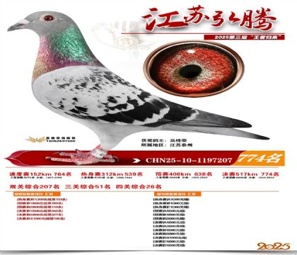 江苏弘腾决赛774名