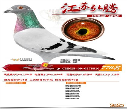 江苏弘腾决赛776名