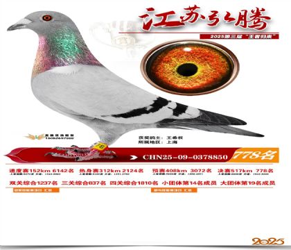 江苏弘腾决赛778名