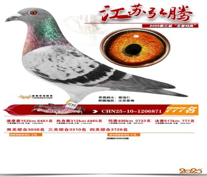 江苏弘腾决赛777名