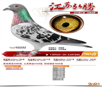 江苏弘腾决赛780名