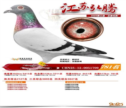 江苏弘腾决赛781名