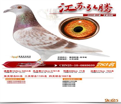 江苏弘腾决赛783名