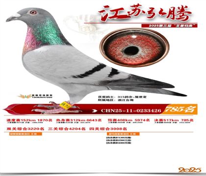 江苏弘腾决赛785名