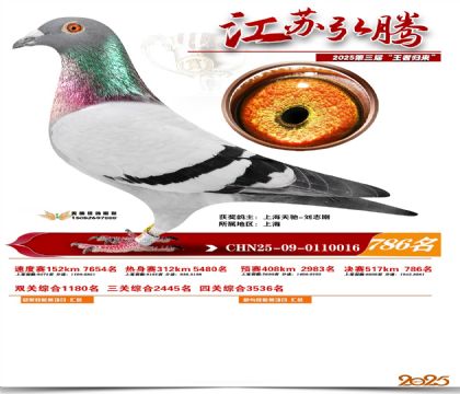 江苏弘腾决赛786名