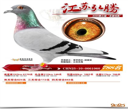 江苏弘腾决赛788名