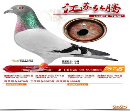 江苏弘腾决赛787名