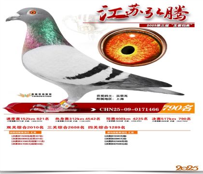 江苏弘腾决赛790名