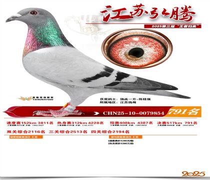 江苏弘腾决赛791名