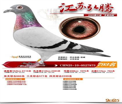 江苏弘腾决赛793名