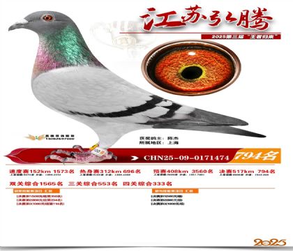 江苏弘腾决赛794名