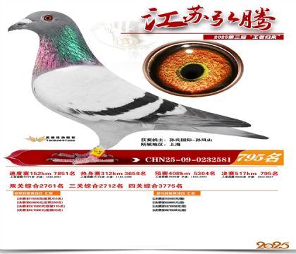 江苏弘腾决赛795名