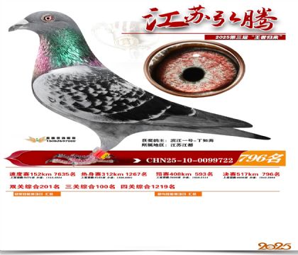 江苏弘腾决赛796名