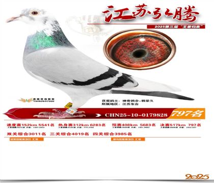 江苏弘腾决赛797名