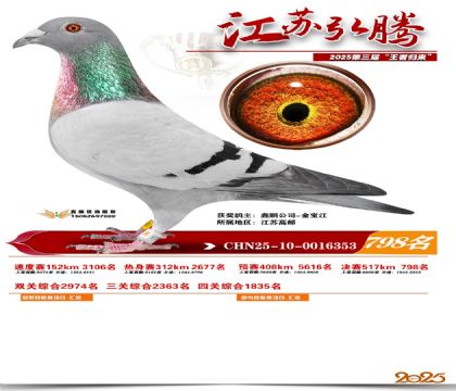 江苏弘腾决赛798名