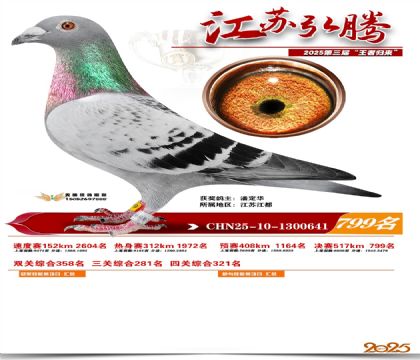 江苏弘腾决赛799名