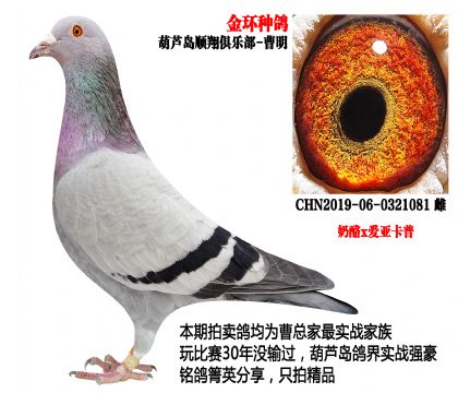 ����x��(��i)�����գ���h(hu��n)�N����