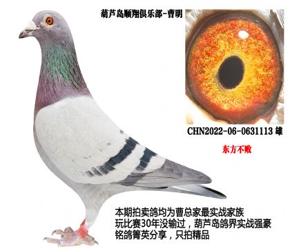 �|��������˽�h(hu��n)�N����