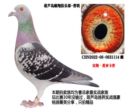 �h˹����(��i)�����գ���h(hu��n)�N����