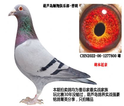 �������H