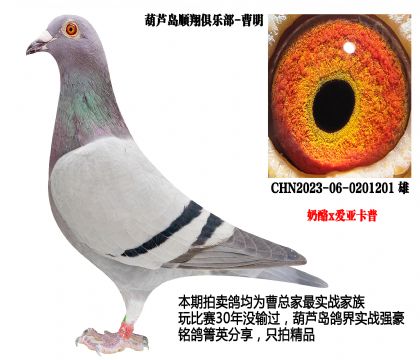 ����x��(��i)������