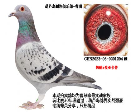 ����x��(��i)������