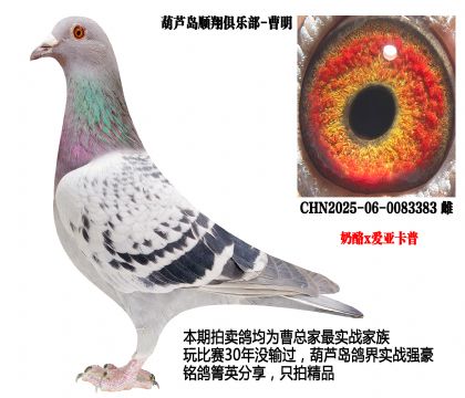 ����x��(��i)������