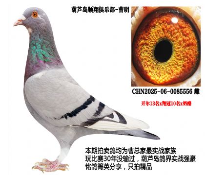 �_(k��i)��13��x���10��x����