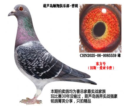 �h˹����(��i)������