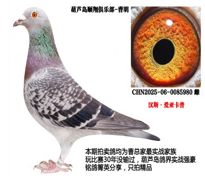 �h˹����(��i)������