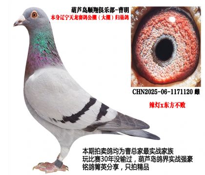 �����������w����������x�|��������