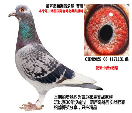 ���Ź���w��������(��i)������x���ң�