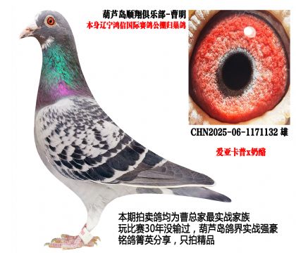 ���Ź���w��������(��i)������x���ң�