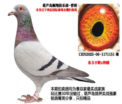 ���Ź���w�������|������x���ң�