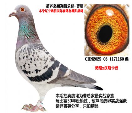 ���Ź���w����������x��(��i)�����գ�