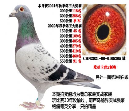 500���＾܊����(��i)������x���W��