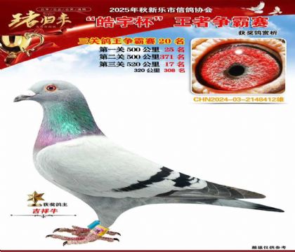 ������(zh��ng)�����P(gu��n)�C��20��