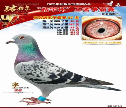 ������(zh��ng)�����P(gu��n)�C��27��