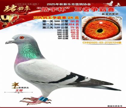 ������(zh��ng)�����P(gu��n)�C��28��