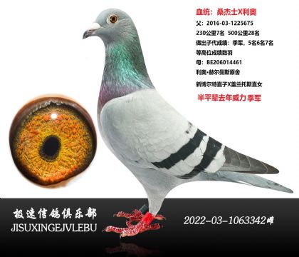 �̾��x�ٶ���