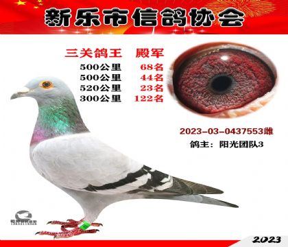 ���P(gu��n)������܊