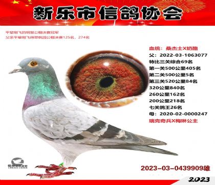 �����܊ƽ݅