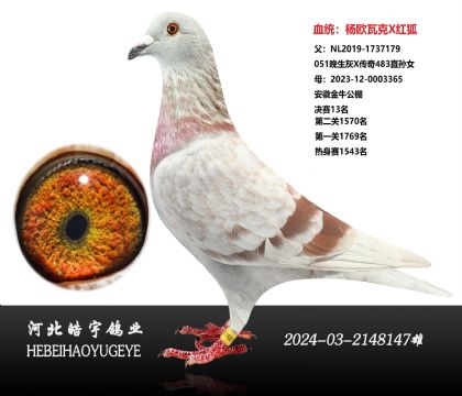 ��W�߿�ԭ��ֱ��