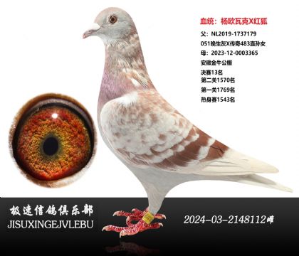 ��W�߿�x�t��