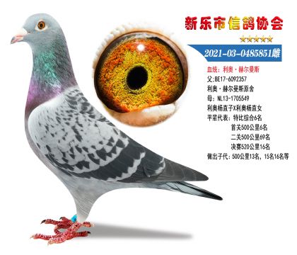 ���W��݅��