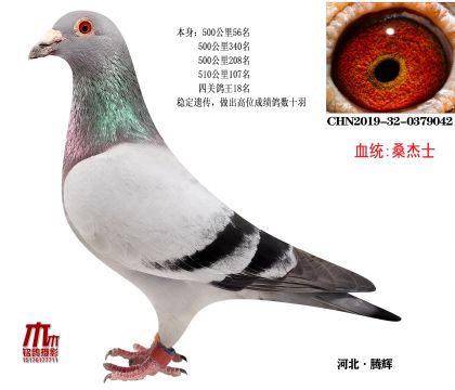 ���P(gu��n)����18��