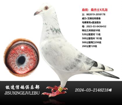 ��������������ԭ��