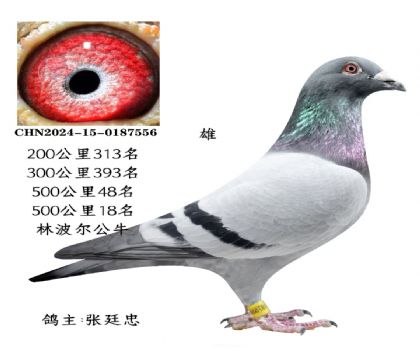 ΢�ňDƬ_20251225115655_2820_6